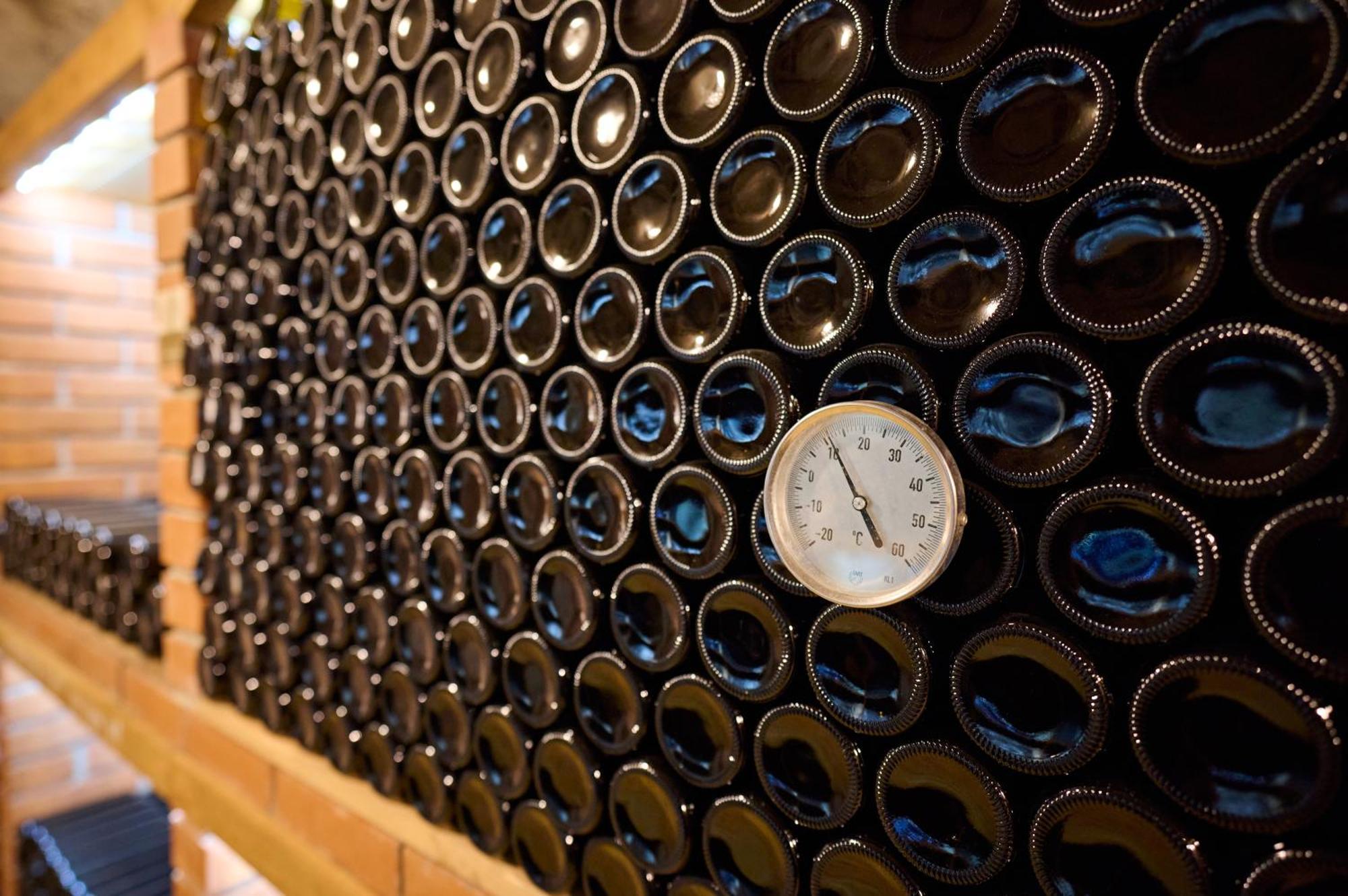 Вілла Wine House Kaloh Марібор Екстер'єр фото