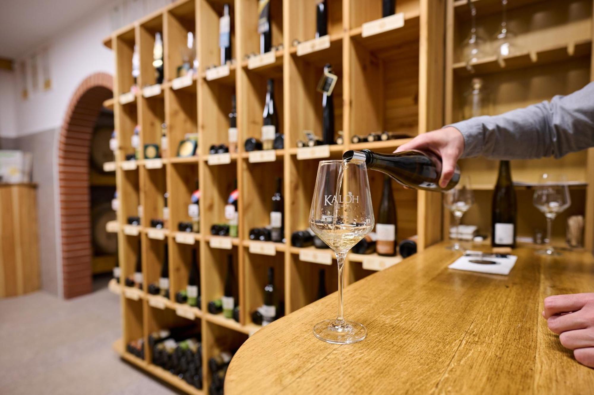 Вілла Wine House Kaloh Марібор Екстер'єр фото