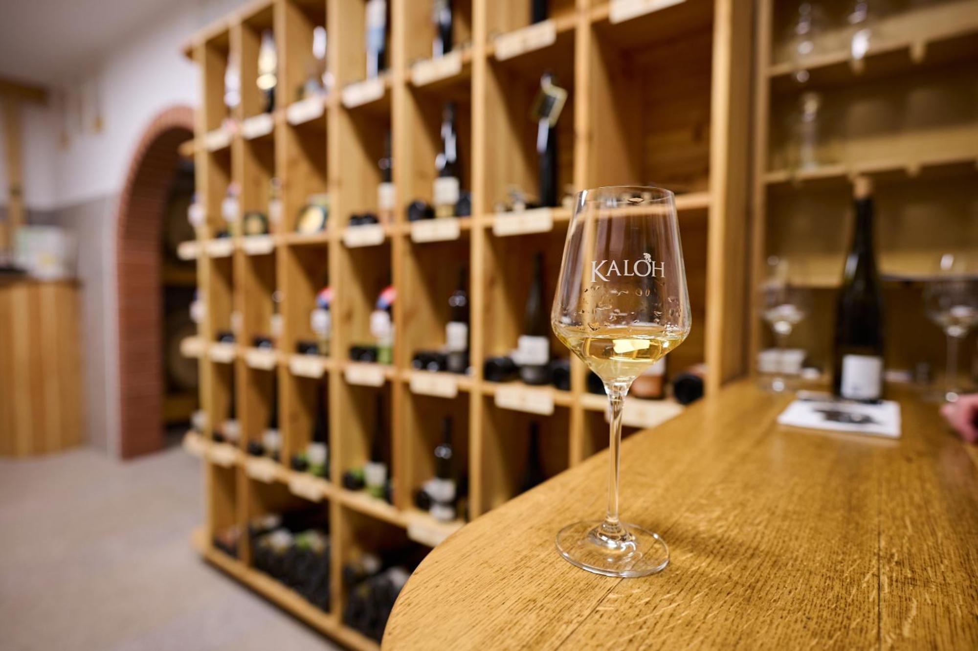 Вілла Wine House Kaloh Марібор Екстер'єр фото