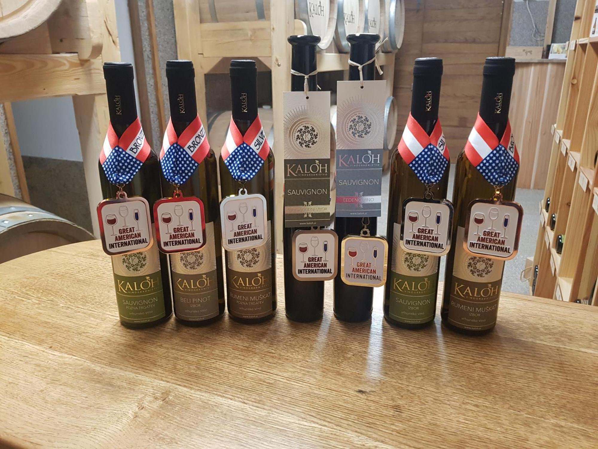 Вілла Wine House Kaloh Марібор Екстер'єр фото