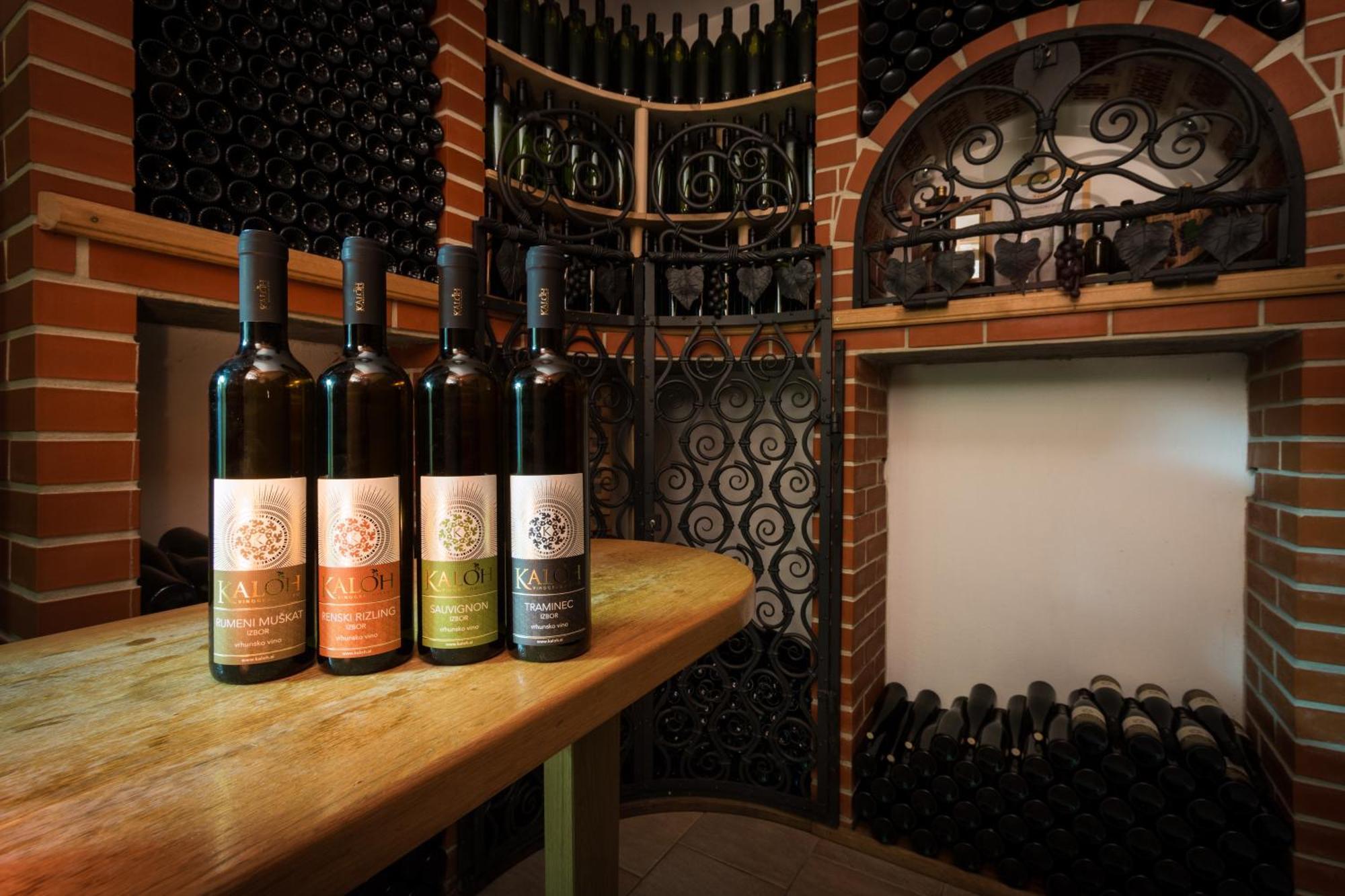 Вілла Wine House Kaloh Марібор Екстер'єр фото