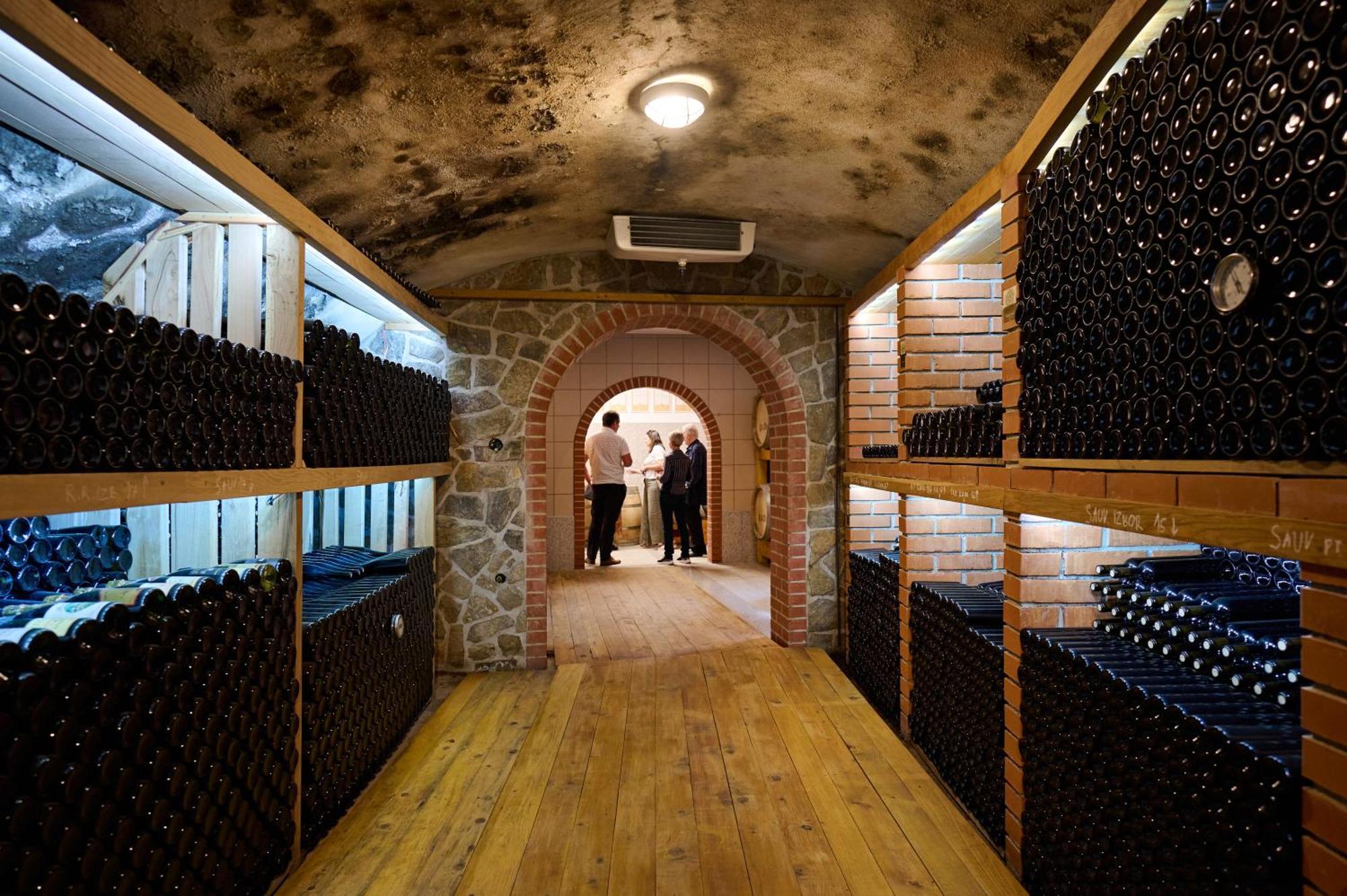 Вілла Wine House Kaloh Марібор Екстер'єр фото